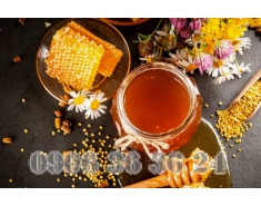 Fermented Honey (Chiết Xuất Mật Ong Lên Men)
