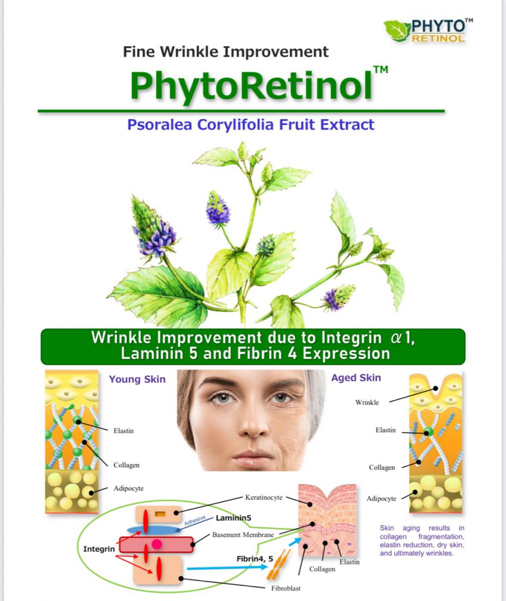 phytoretinol