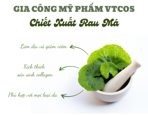 Gia công mỹ phẩm VTCOS - Chiết Xuất Rau Má