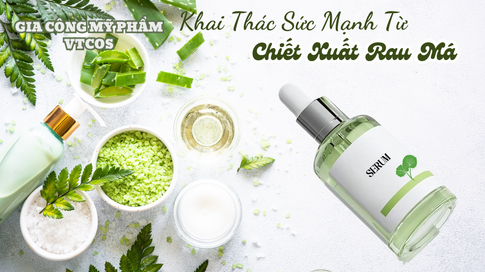 GIA CÔNG MỸ PHẨM TỪ CHIẾT XUẤT RAU MÁ